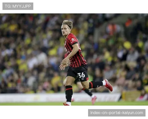 伯恩茅斯11月至12月未取胜 却仍只落后第六名5分 伯恩茅斯11月至12月未取胜 却仍只落后第六名5分